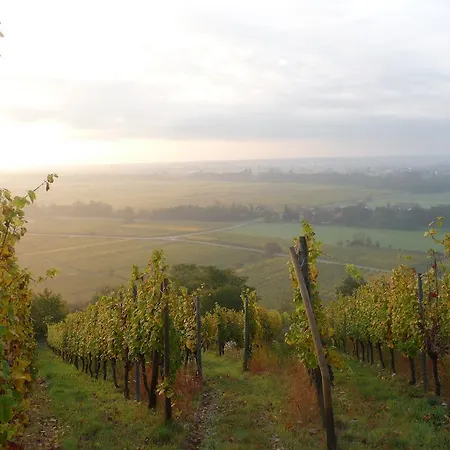 Vignobles Frey-sohler Scherwiller