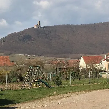 Appartamento Vignobles Frey-sohler Scherwiller