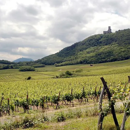 Appartamento Vignobles Frey-sohler Scherwiller