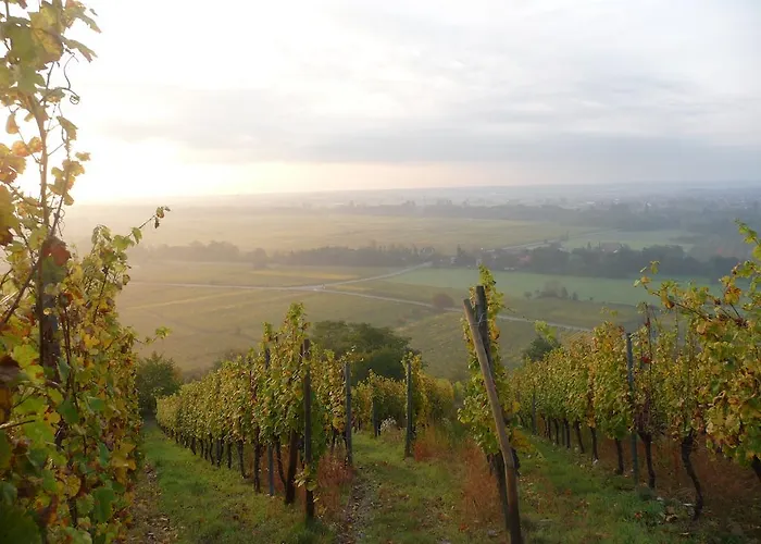 Vignobles Frey-sohler Scherwiller