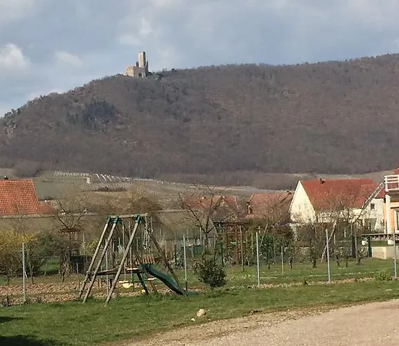 Apartamento Vignobles Frey-sohler Scherwiller